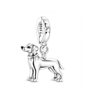 Charm Perro