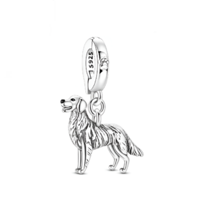 Charm Collie